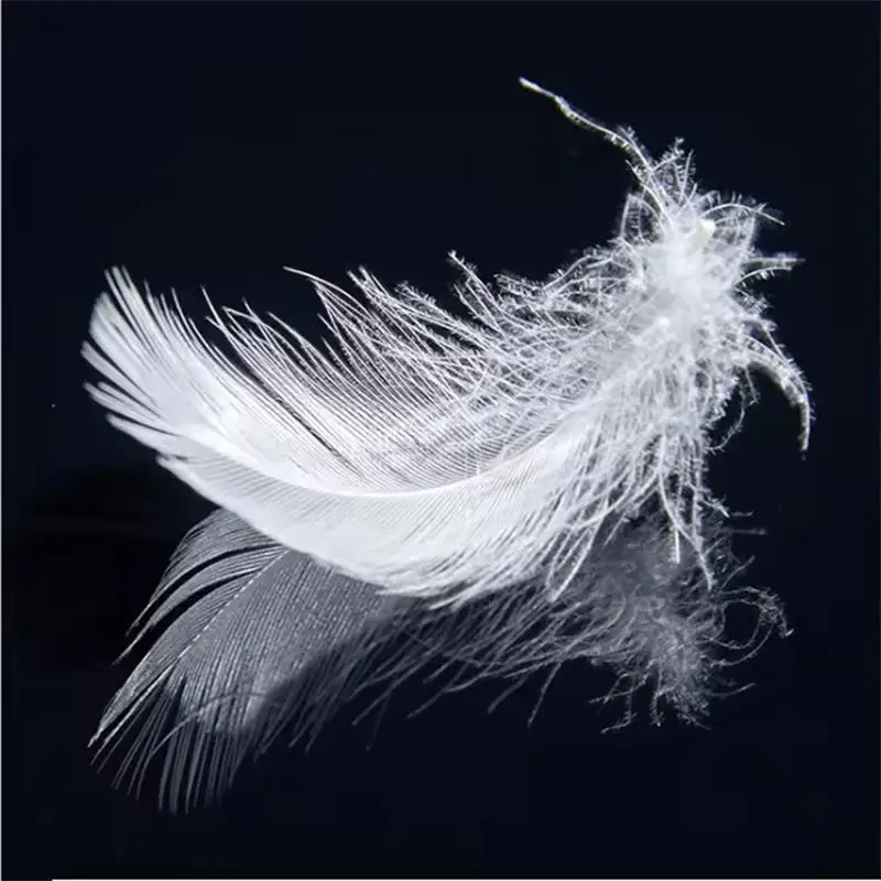 Good Quality Bulk 2-4cm White Duck  Feather Filling For Hotel Pillow