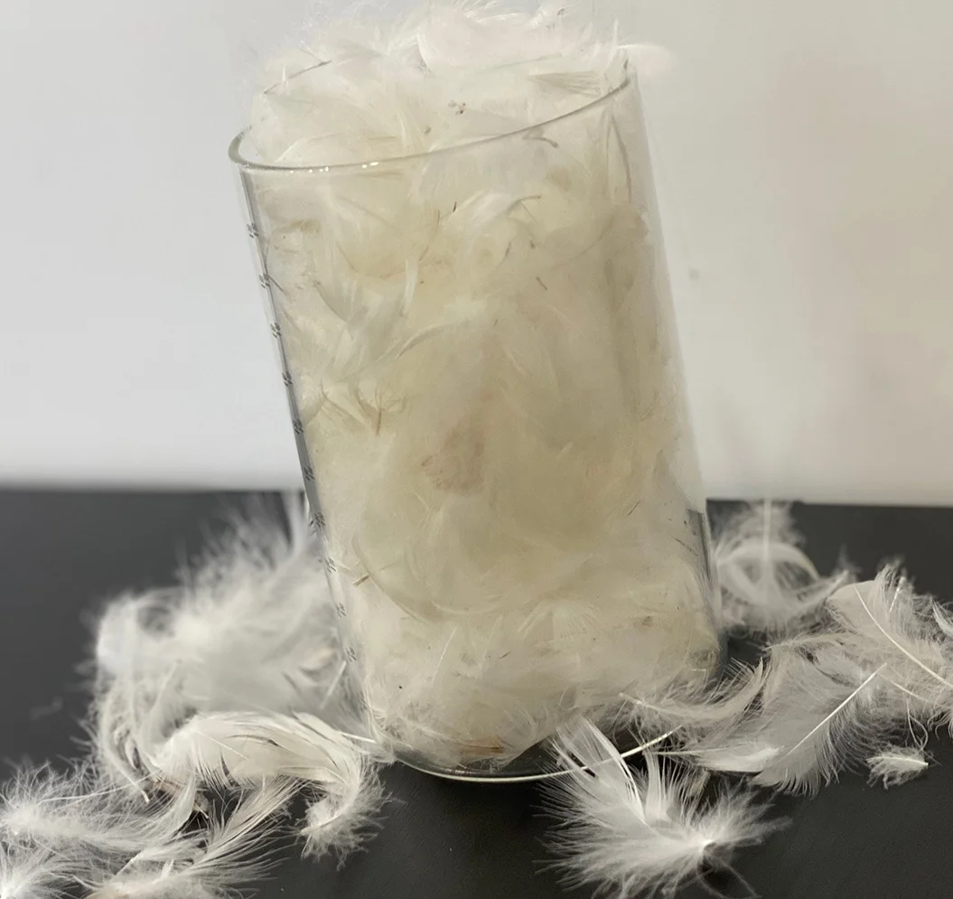 2-4cm large washed 90 white duck feathers: natural material for filling feather pillow sofa cushions