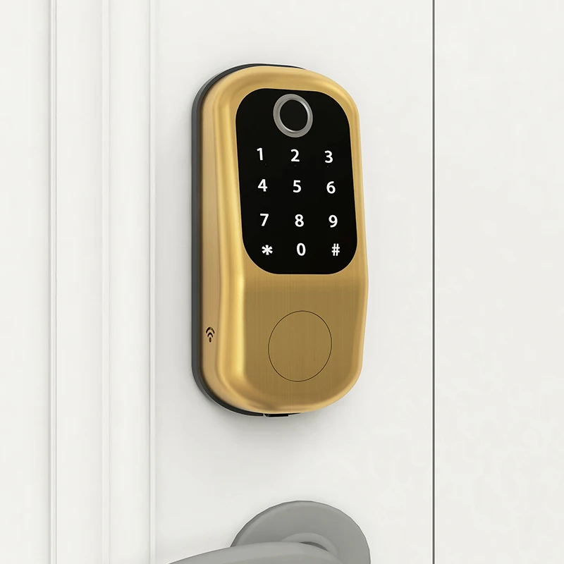 
Fingerprint door lock TTLOCK APP wifi key card door lock access control for home house 