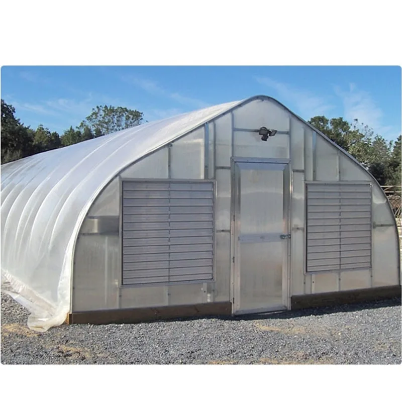Cheap High tunnel Gothic Structure Greenhouses for vegetable and tomato growing film arch hoop house