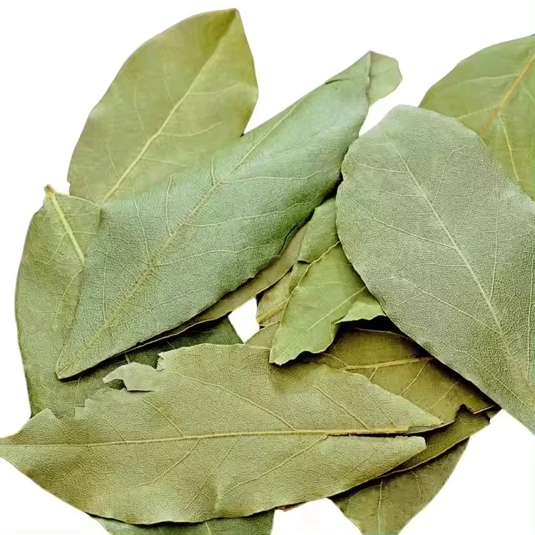 Turkish Laurel Bay Leaves Natural Aromatic Culinary Herbs Seasoning Gourmet Cooking Mediterranean Herbs Dried Laurel Bay Leaves