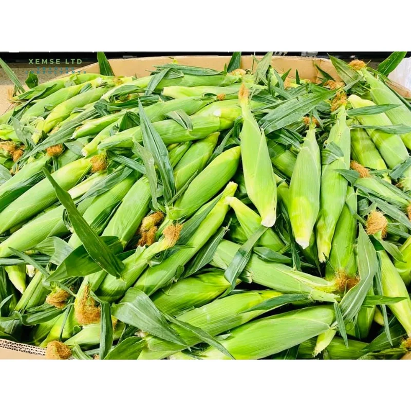 Желтая Кукуруза для
