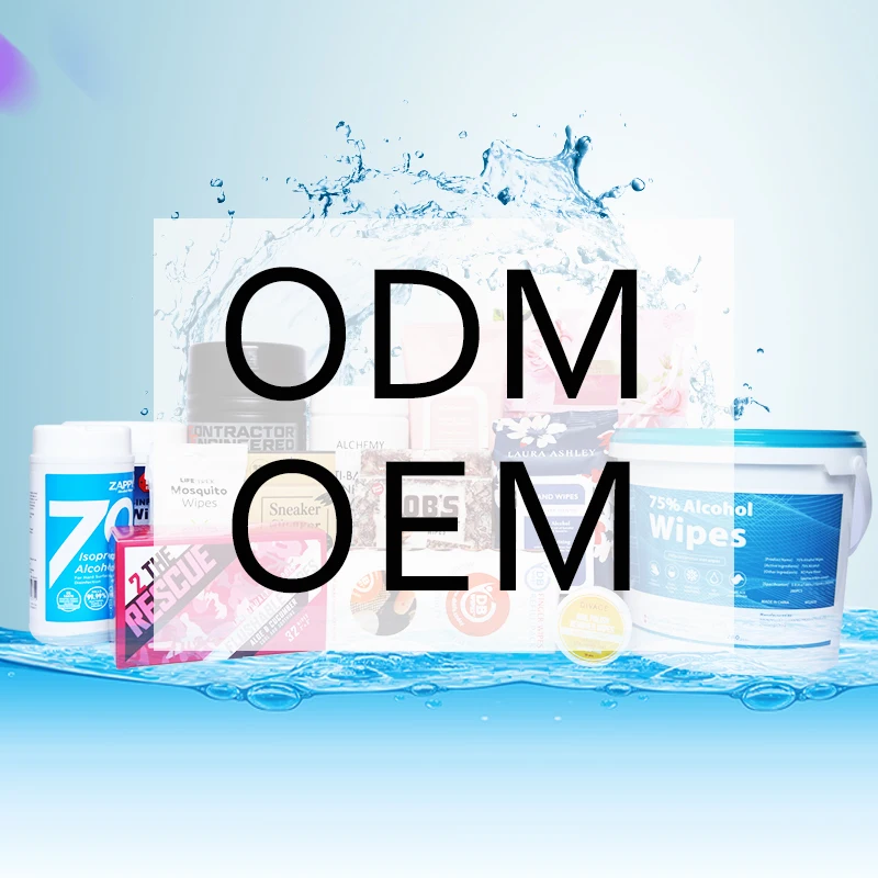 Customization Trendy Private Label Jewelry and silver Polishing Cleaning Nonwoven Cleaning Wet Wipe  With Logo