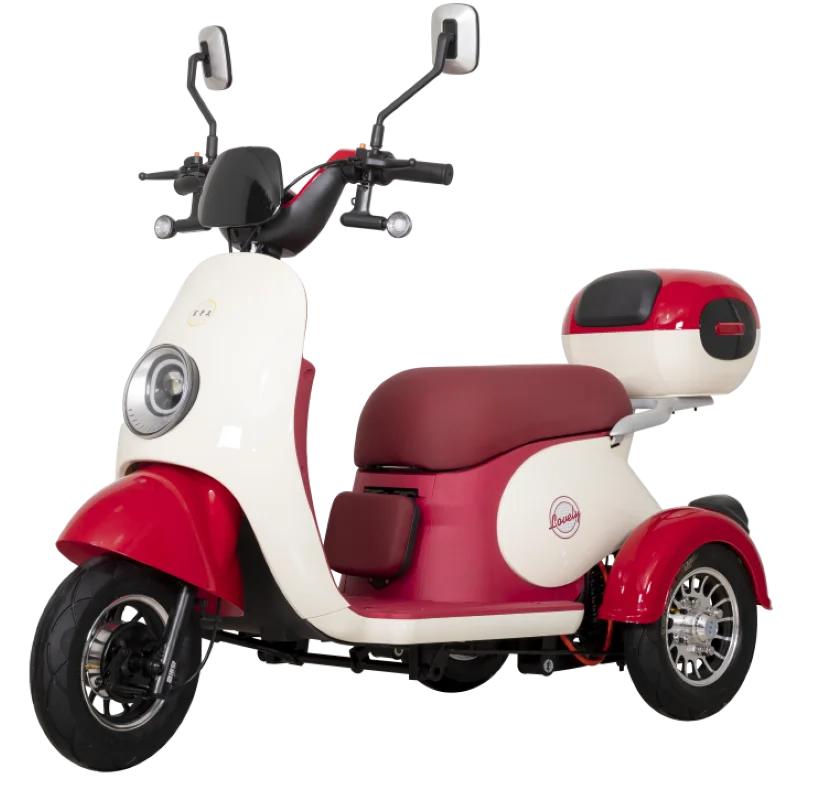 Small City Passenger E-scooter New Style Leisure Tricycle Family with Baby Seat Tricycle Good Quality Electric Tricycle