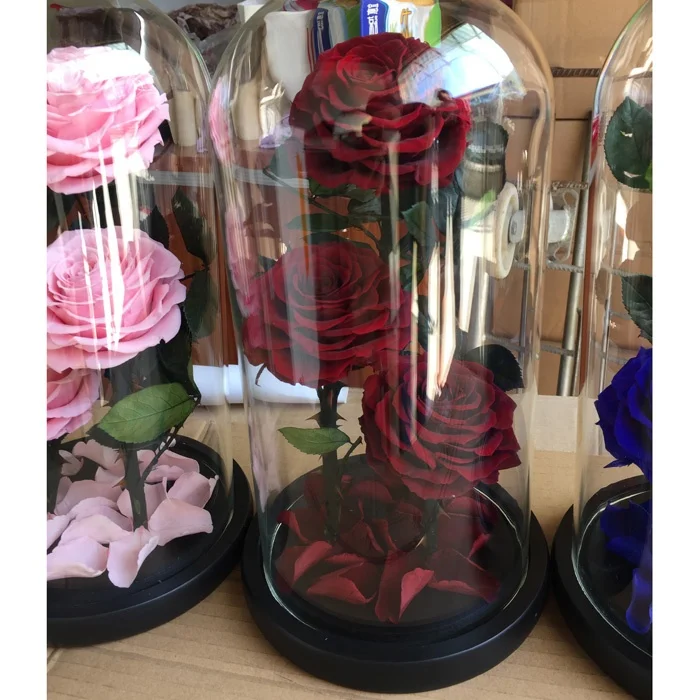 Натуральные тройные консервированные розы в стеклянном куполе в качестве подарка