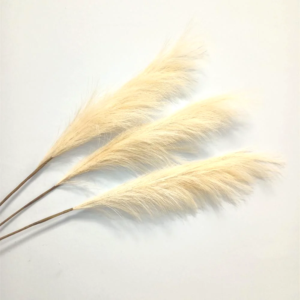 Лидер продаж в Amazon мужские сушеные пампасы трава бесплатный образец Моделирование искусственных цветов в форме пера