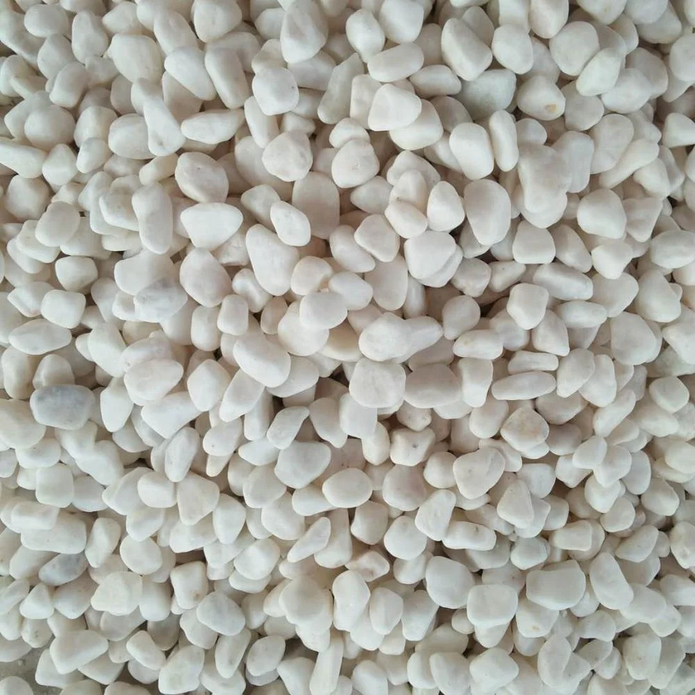 Wholesale Machine Making Pebbles Snow White River Rocks For Garden Decoration