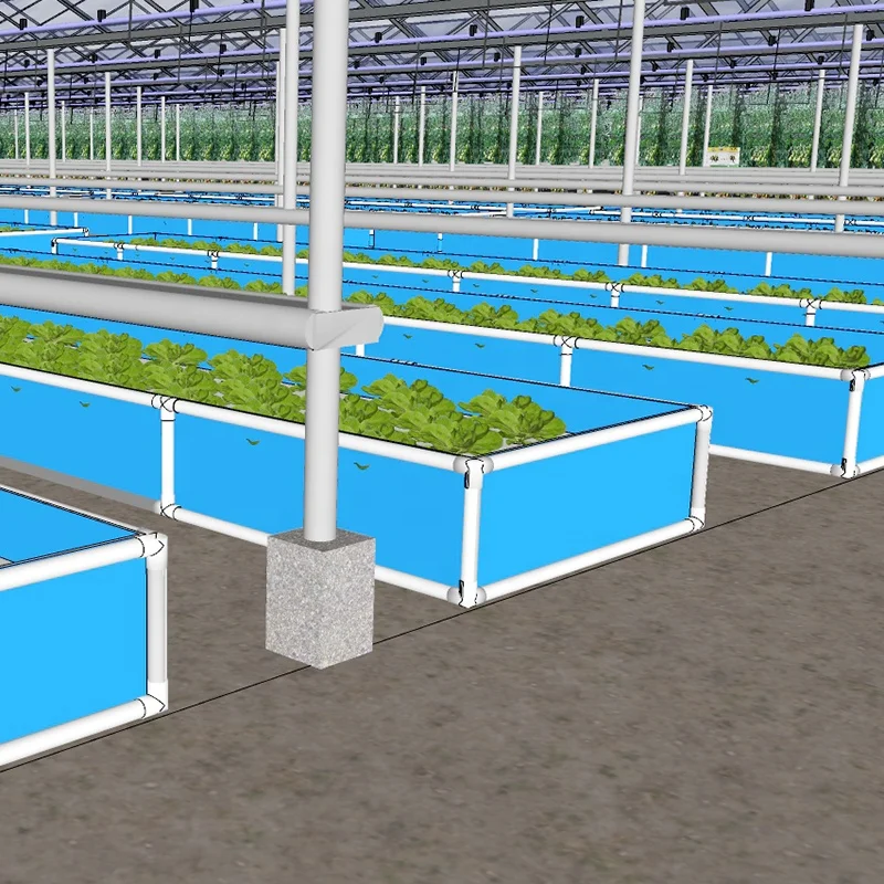 OMANA Aquaponic growing systems aquaponics system farm Aquaponics System For Fish And Vegetable