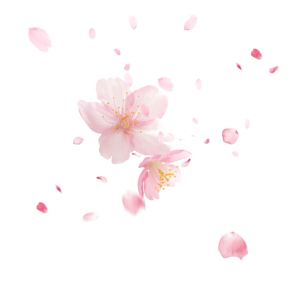 Vaping Muster E Super Amber Favor for hookah oil Synthetic cherry flavour & fragrance concentration