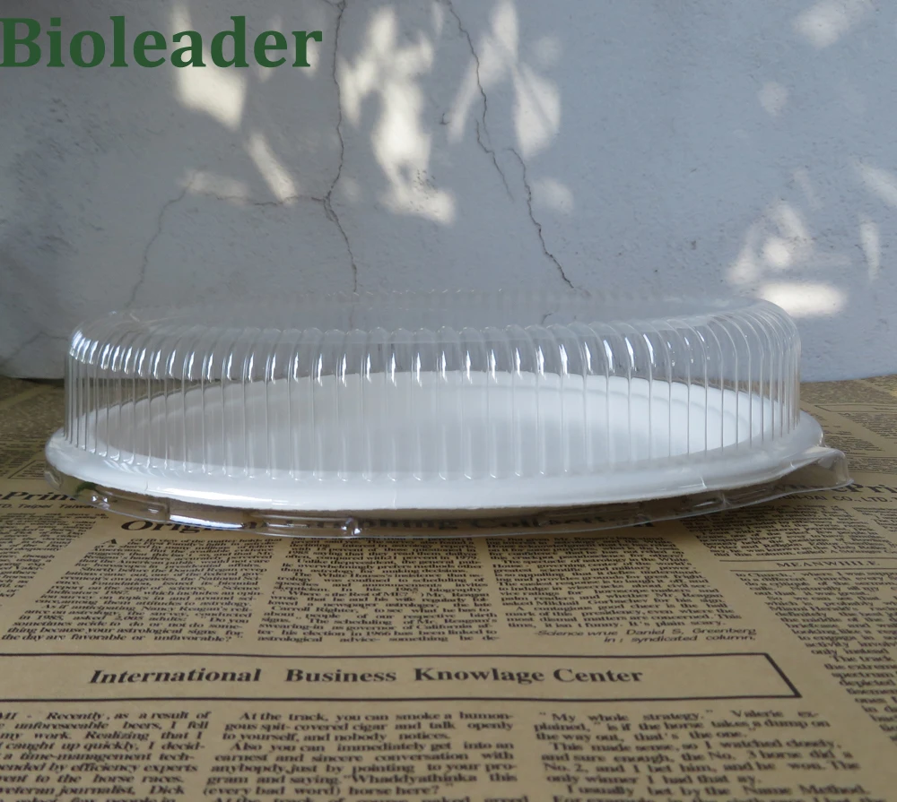 Biodegradable Waterproof Disposable Sugarcane Pulp Oval Takeaway Plate