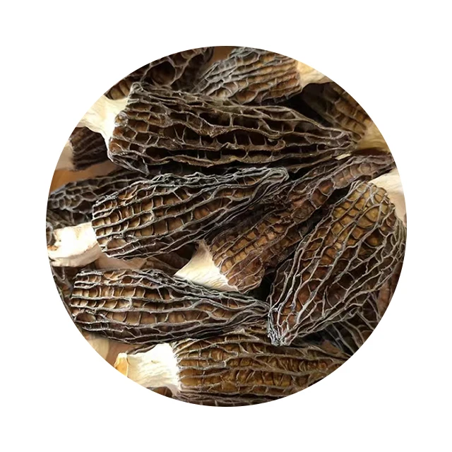 China Direct Sale Newest Crop High-Quality Dried Organic Dried Morel Mushrooms