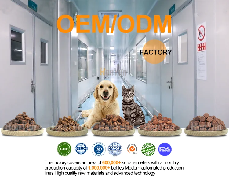 Hanyun Mushroom Supplement for Dogs & Cats Private Label Lions Mane Turkey Tail Mushrooms chews for Cognition and Immune Health