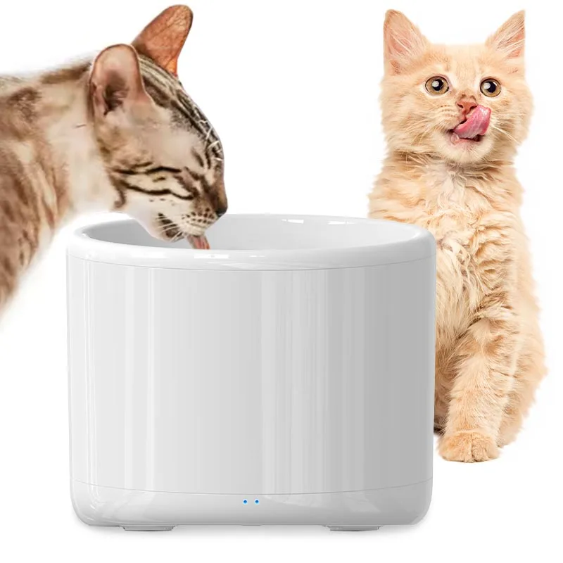 2L OEM Dispensers Low power imported sensorless motor healthy pet water feeder mobile app circulation flow system control