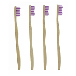 Dental Kit Cheap Hotel Disposable Toothbrush