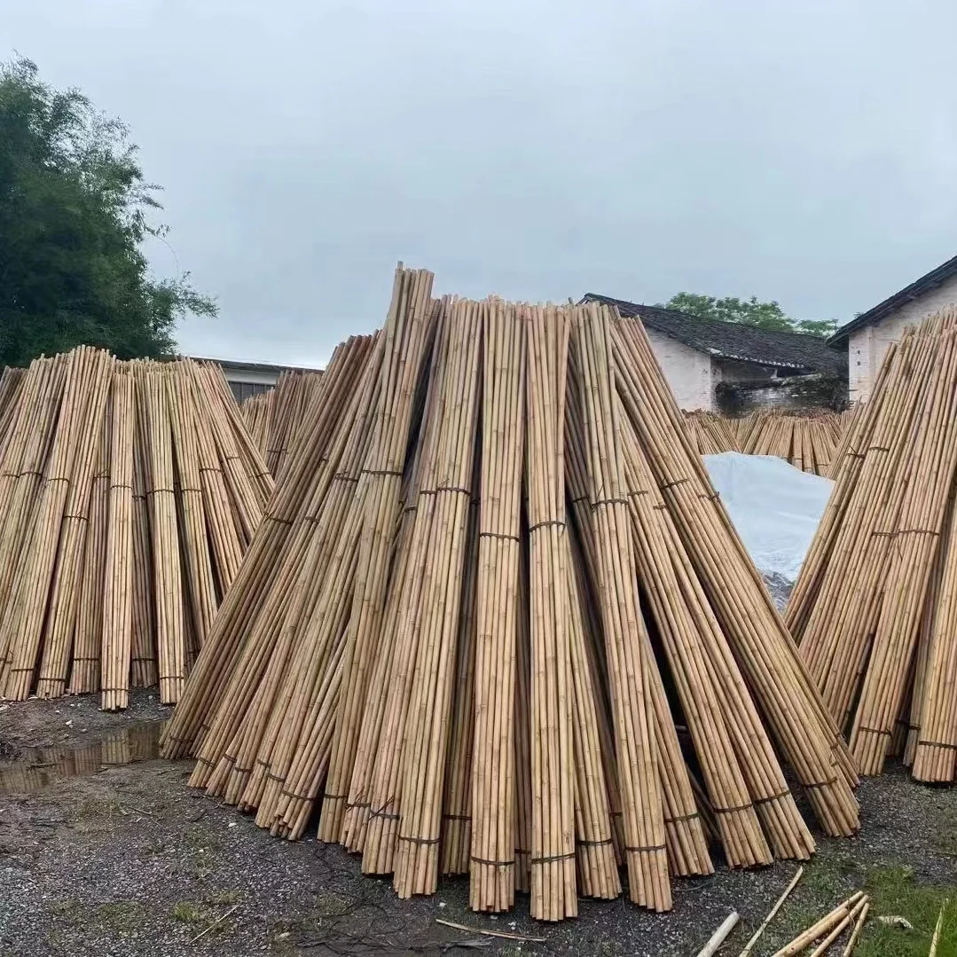 NIF Yellow dry Bamboo canes bamboo pole for plant support