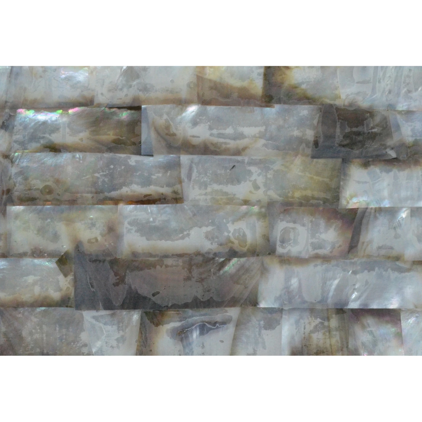 Mother of pearl shell veneer paua abalone paper laminate shell sheet DB006