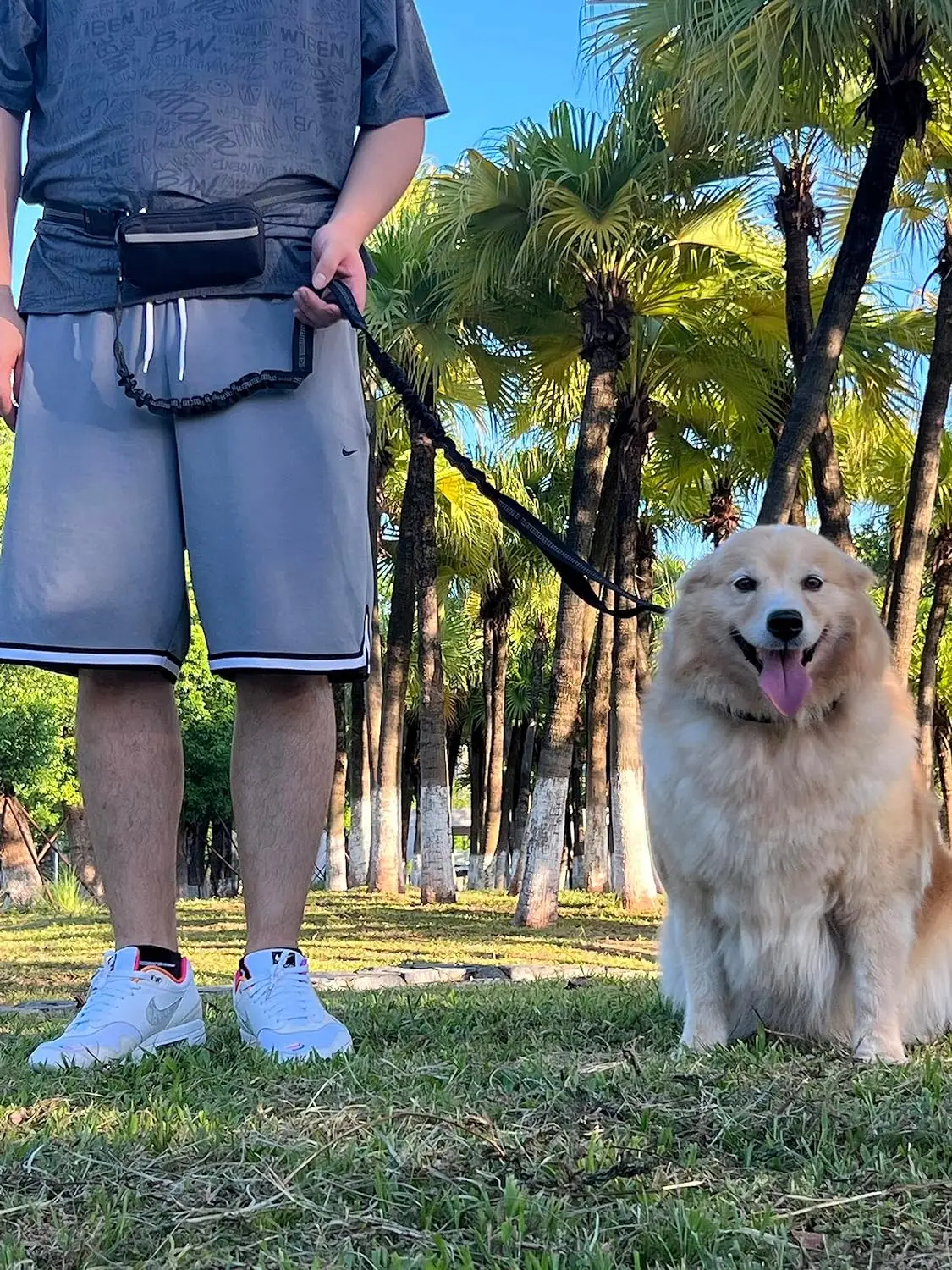 High Quality Plastic Waterproof Hands Free Dog Belt Rope Leash With Clamps For Outdoor Walking Running