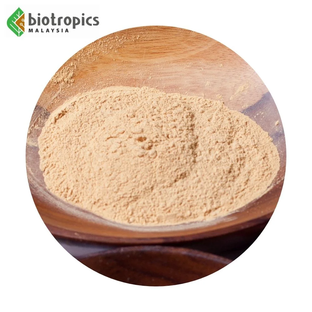 Premium Grade Tongkat Ali Ingredient PG5 Herb Root for Men Health Herbal Extract Ingredient