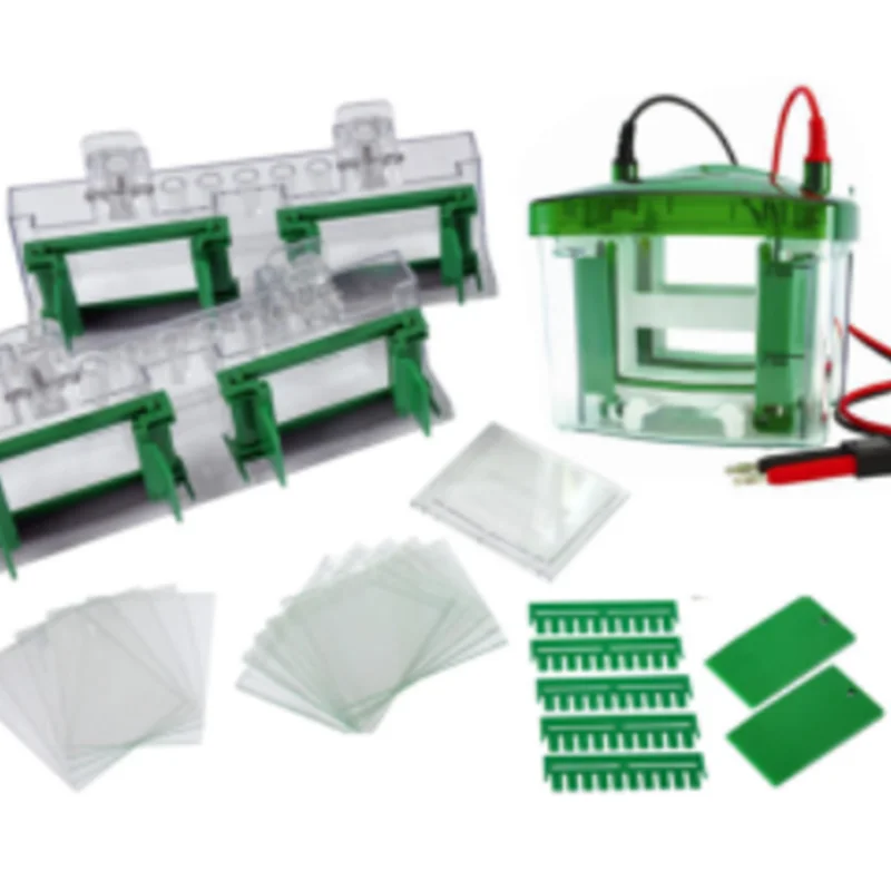 Electrophoresis transfer western blot three-piece set (double tank)