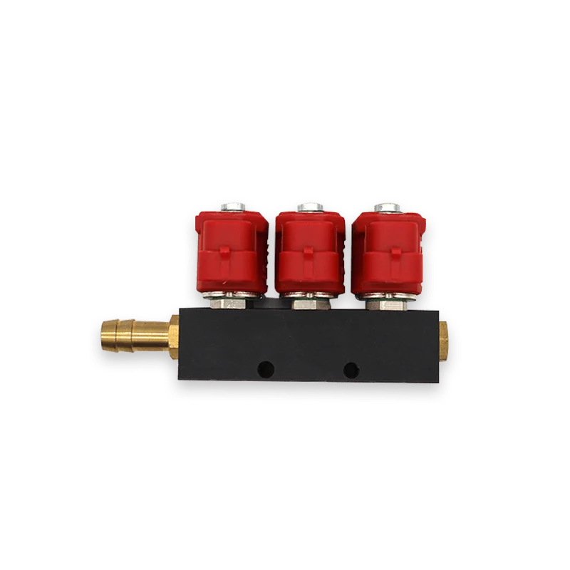 Cng Lpg 3 Cyinder Injector Rail Lpg Conversion Auto Gas Dual Fuel Riel De Inyector Gas Lpg 2ohm CNG conversion kits