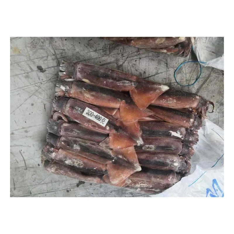В наличии на складе ловли весь свежих продуктов Illex кальмар Аргентина Замороженные