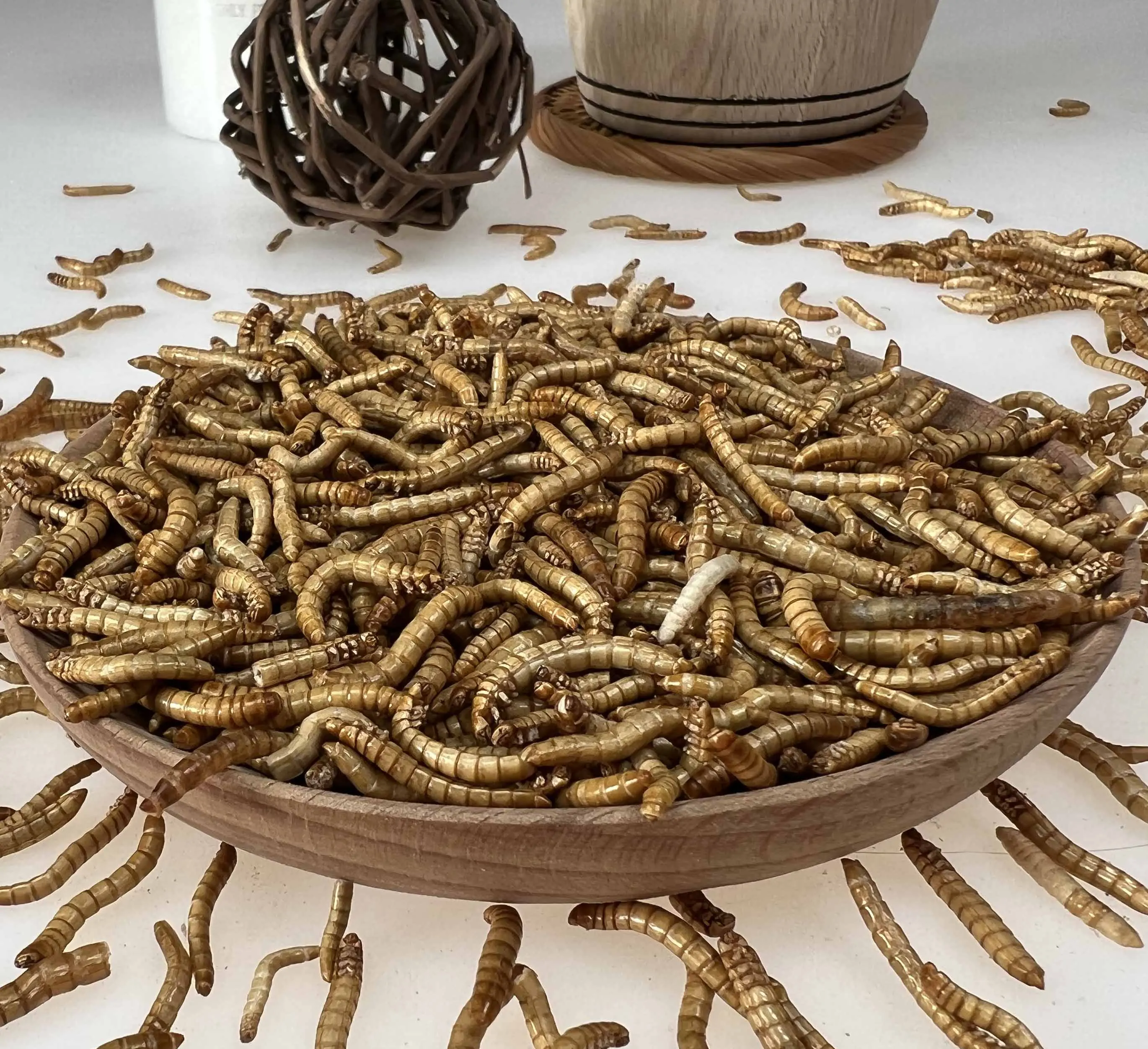 Натуральный МД Mealworm SD mealworm для куриных птиц и других маленьких домашних