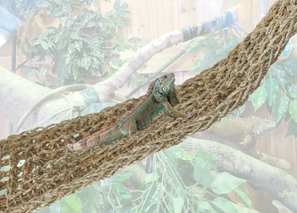 5 PCs Pet Lizard Hammock Reptile Toy Hanging Bed Seagrass Mat Geckos Bed Mats