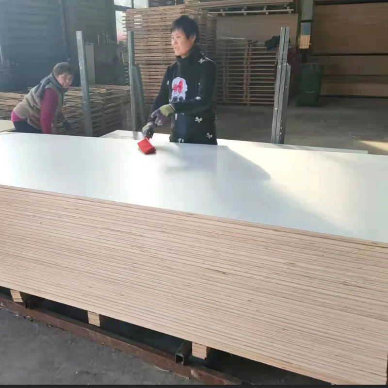 China Big Factory Good Price Wall Decoration Hospital Marble 0.8Mm 1530*2440Mm Hpl Fireproof Sheet For Furniture