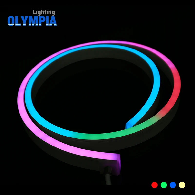 DMX waterproof  ip68 led neon flex rope light with remote rgbw led rope
