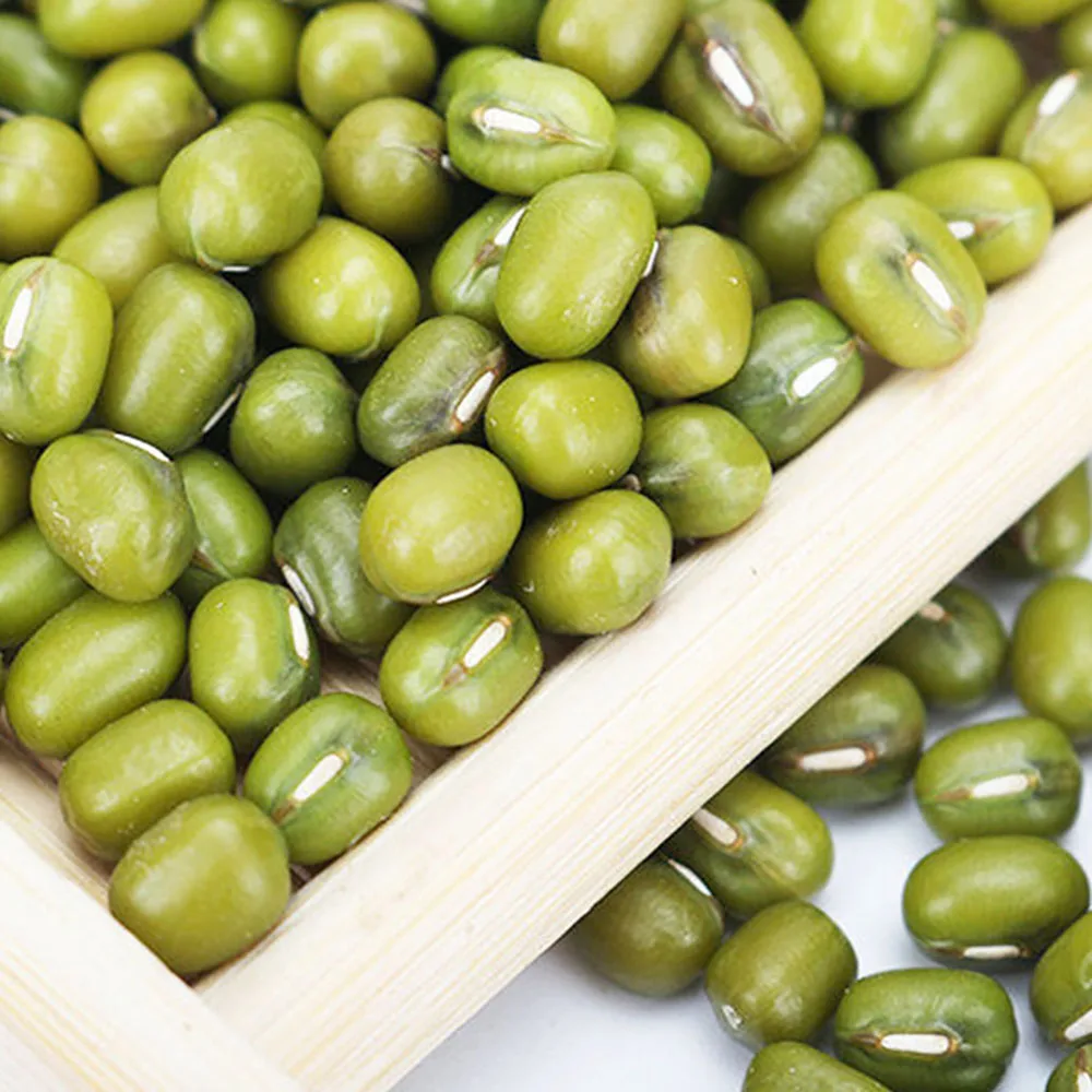 Hot Sale China Manufacture Quality Green Mung Chinese Green Beans