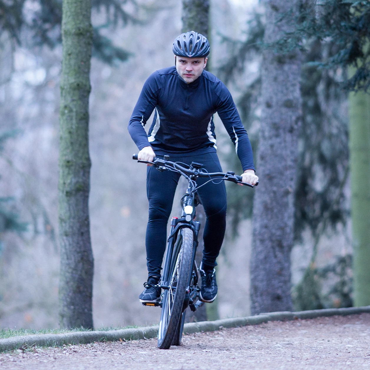 New Model 250W Electric Bike for Men Battery Operated with 36V/14.4Ah Protection 10-Speed Central Motor 250W Cycle Price