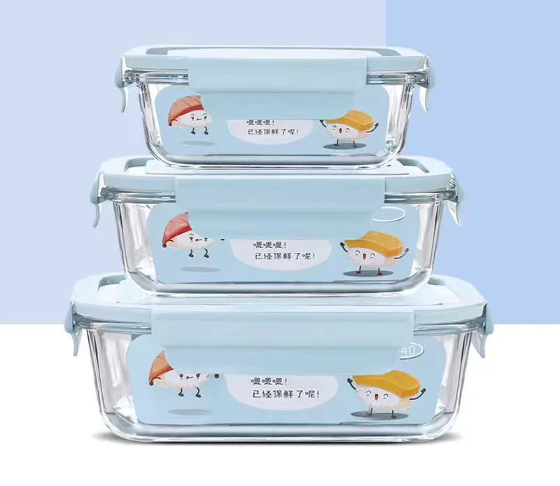 NDS High Borosilicate glass meal prep Containers set with Lids 3 compartment lunch Boxes for food