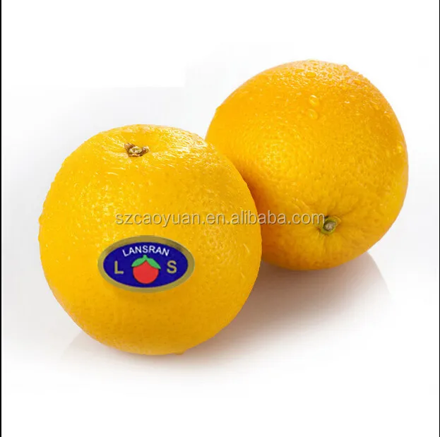 customized eco-friendly glue waterproof fruit self adhesive stickers adhesive oranges apple labels