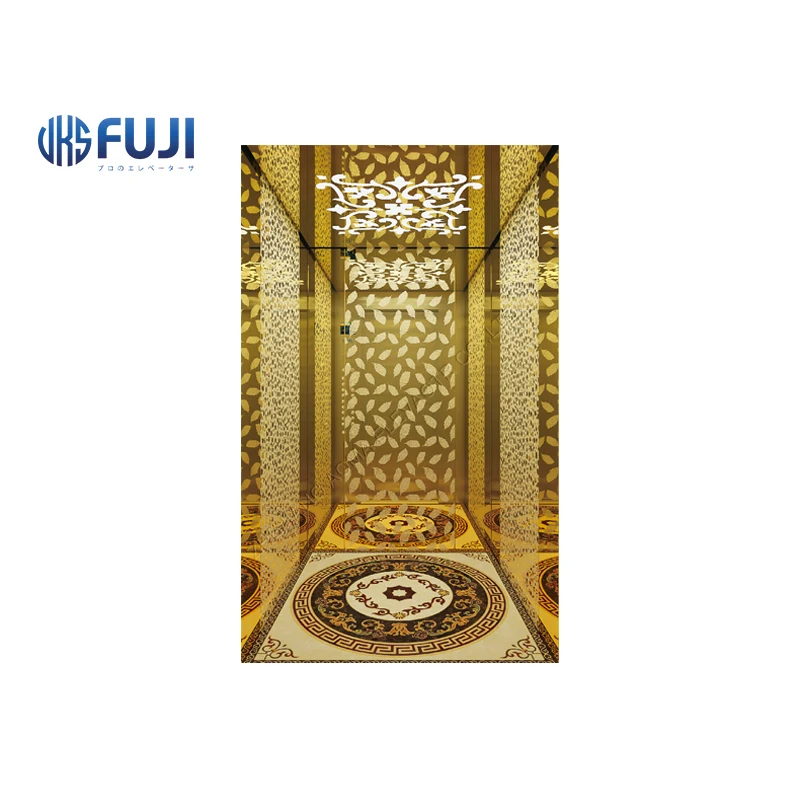 FUJI Home Lift Villa Elevator Used Home Lift Equipped with Permanent Magnet Synchronous Gearless Tractor Steel Stainless Item