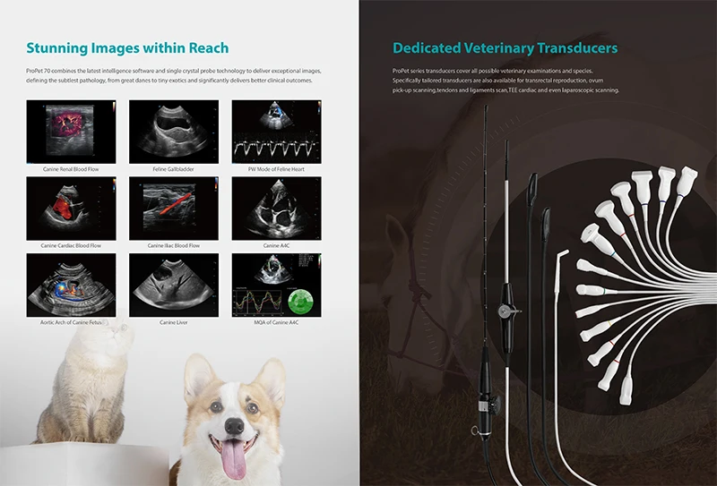 Sonoscape ProPet 70 wholesale price vet ultrasound machine 3D 4D color doppler Digital ultrasound scanner for veterinary