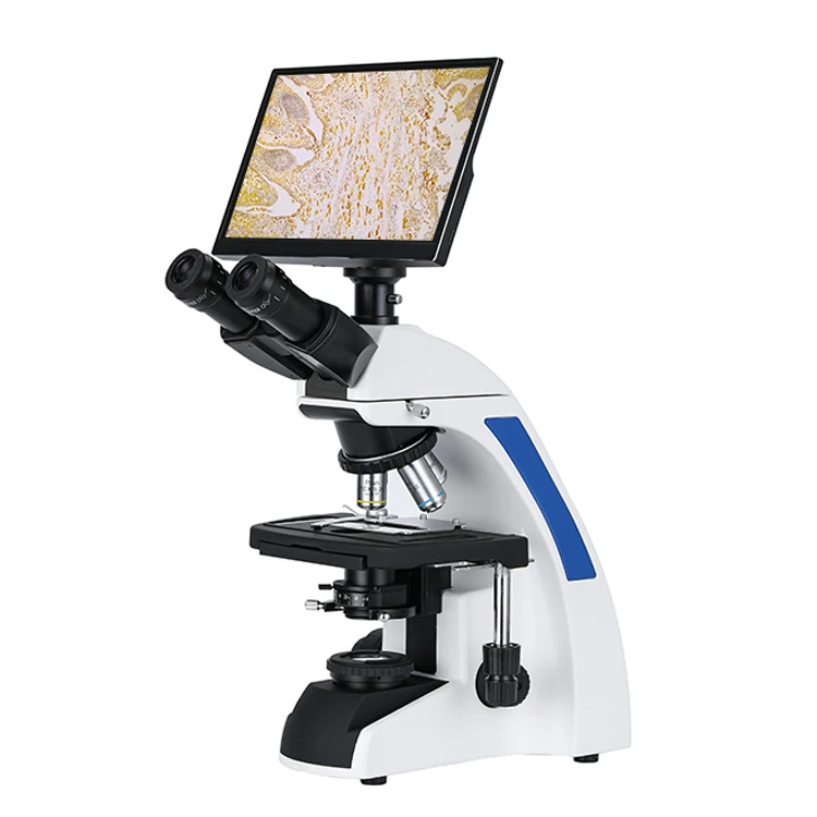 Wholesale XSZ-207T WF10X/20mm seidentopf trinocular head biological video medical laboratory microscope
