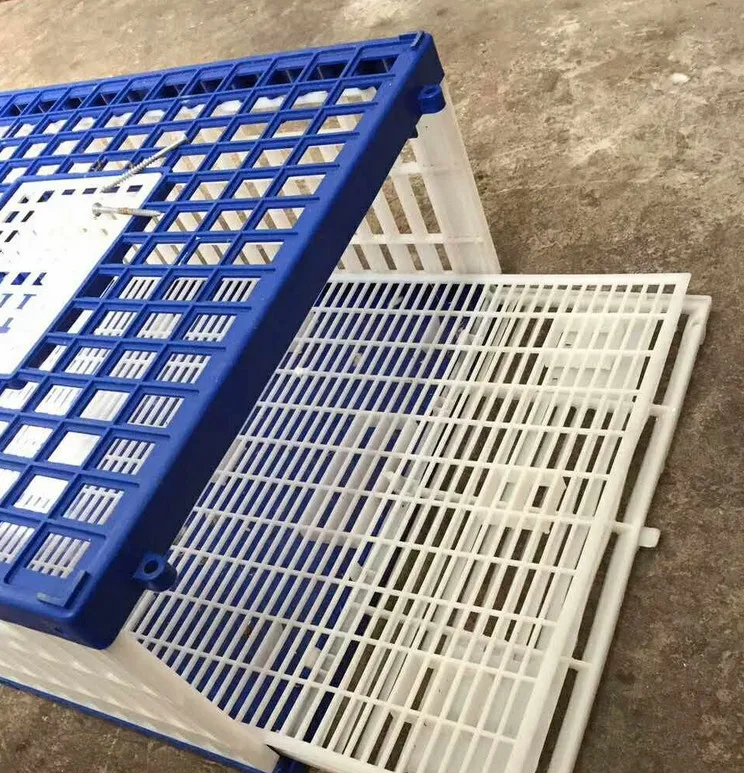 good quality pigeon plastic transport cage wholesale