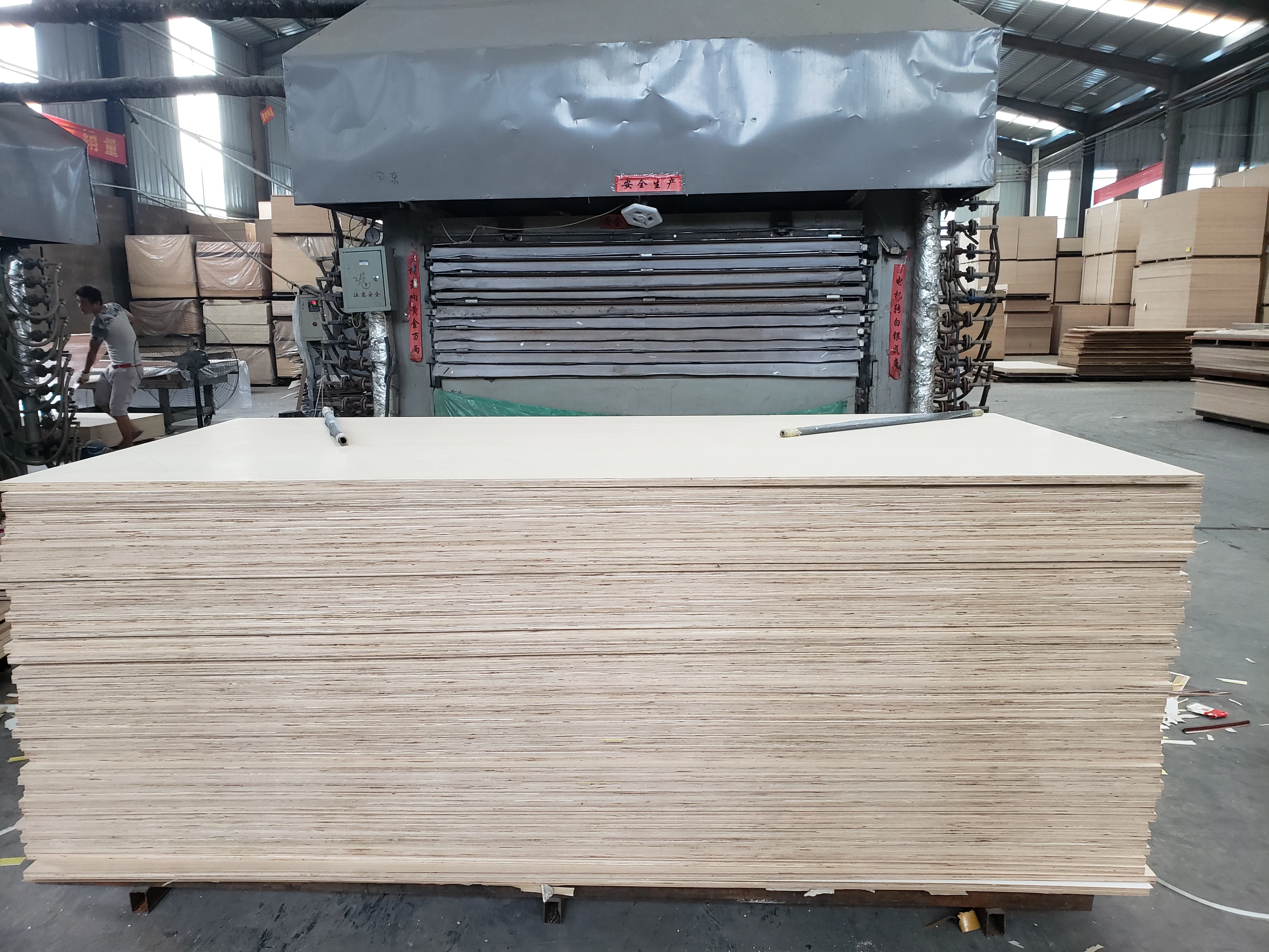 12mm 16mm 18mm flexible plywood basswood  maple red oak timber structural glossy plywood sheet furniture