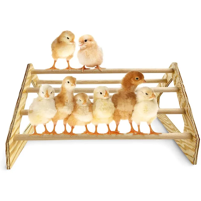 Durable Strong Wooden Jungle Roosting Bar Toys Coop Brooder Baby Chicks Chick Perch