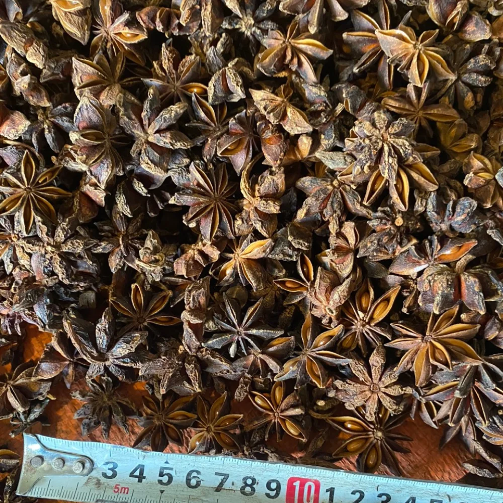 Premium Whole Star Anise Vietnam Origin Wholesale Grade 1 Price factory Hanfimex natural forest hot seller Autumn new crop