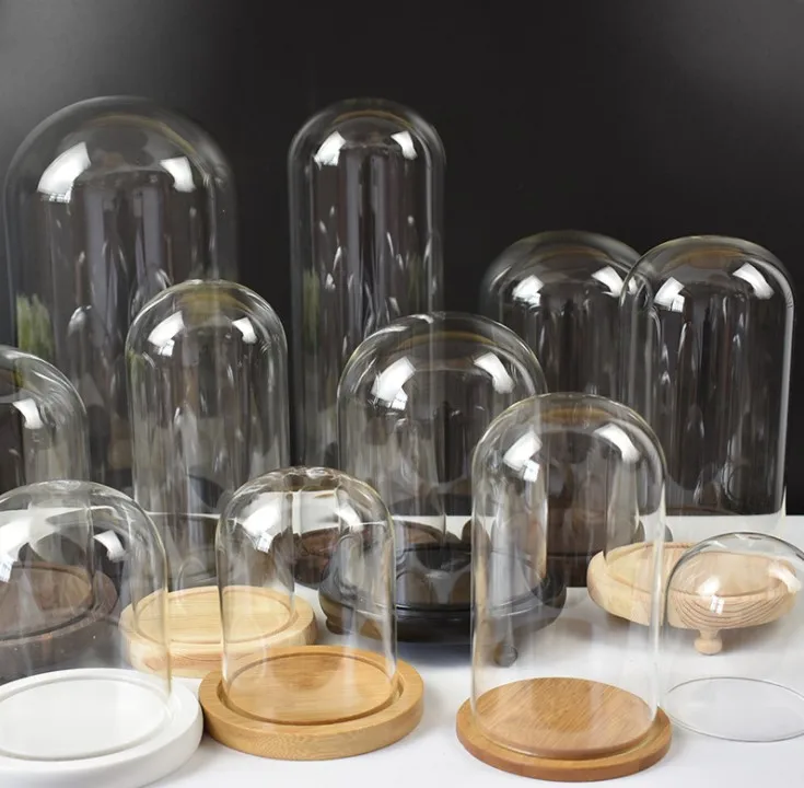 free clear glass dome with wood stand Home decor clear oval glass domes with base (1600209597480)