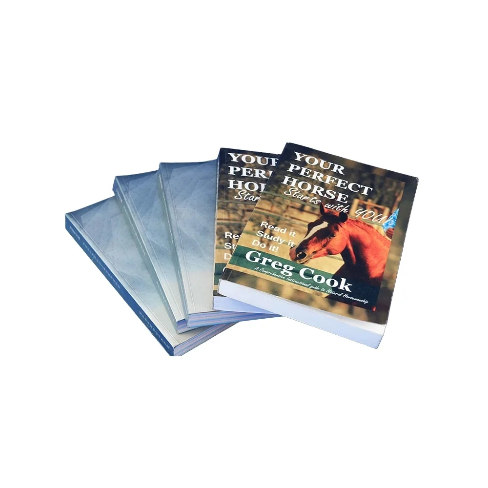 High Quality Customized Print A Book Softcover Assorted Novel Books Wholesale For Export