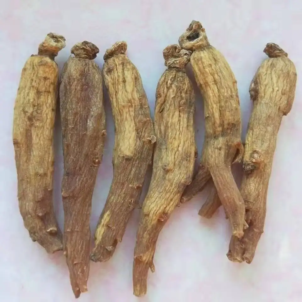 Origin Wholesale Price Buy Ginseng Korea Red Ginseng Root