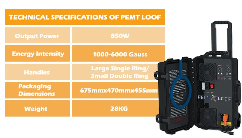 Physical Treatments pemt LOOP Improve Horses Lameness And Colic Magneto Therapy Make Horses Stay in Health