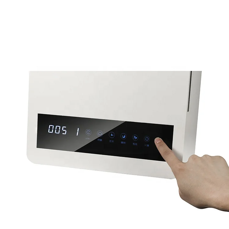 AGCEN OEM ODM Wall Mounted air ventilation unit Air Purifier Hepa H13 for bedroom apartment