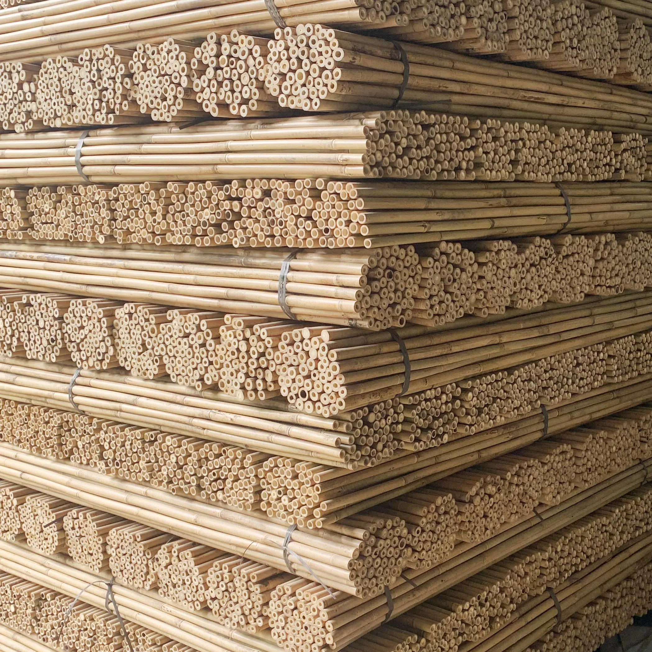 Поддержка растений Tonkin бамбуковый столб бамбуковые