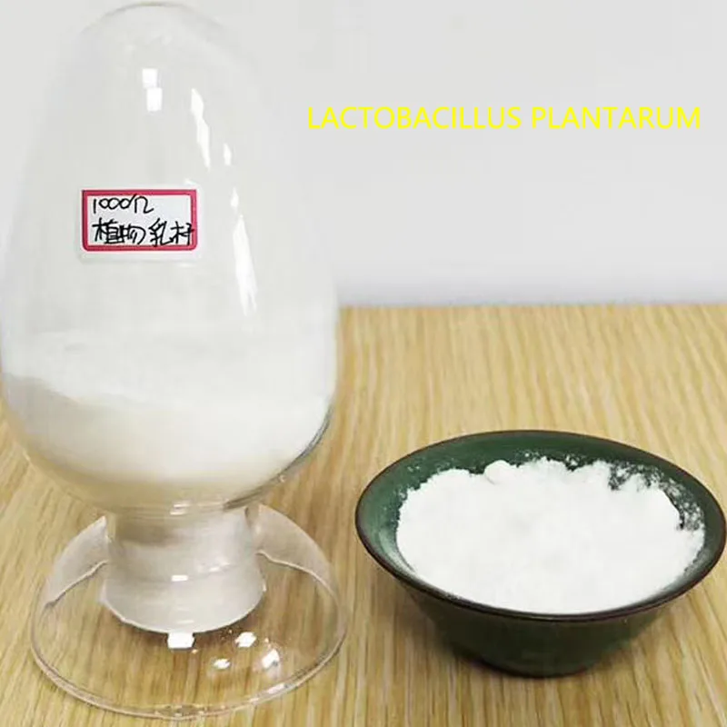 Hot Sale Best Quality With Good Price Powder Lactobacillus Plantarum Feed Additive For Animals