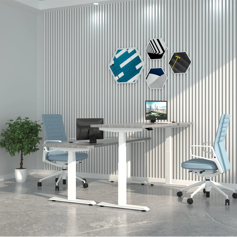 Ergonomic Office Chair Furniture Height Adjustable Desk Table Electric Lifting Column