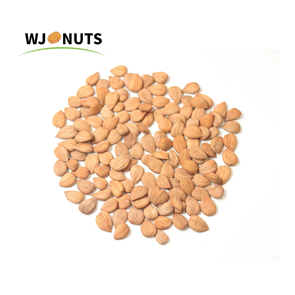 2021 new wholesale California almond badam almond nuts
