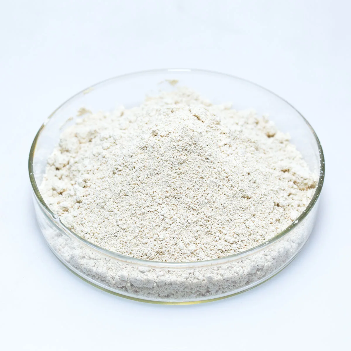 High quality health supplement DHA  Microcapsule powder